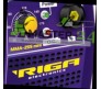Сварочный инвертор Riga MMA-255 Mini